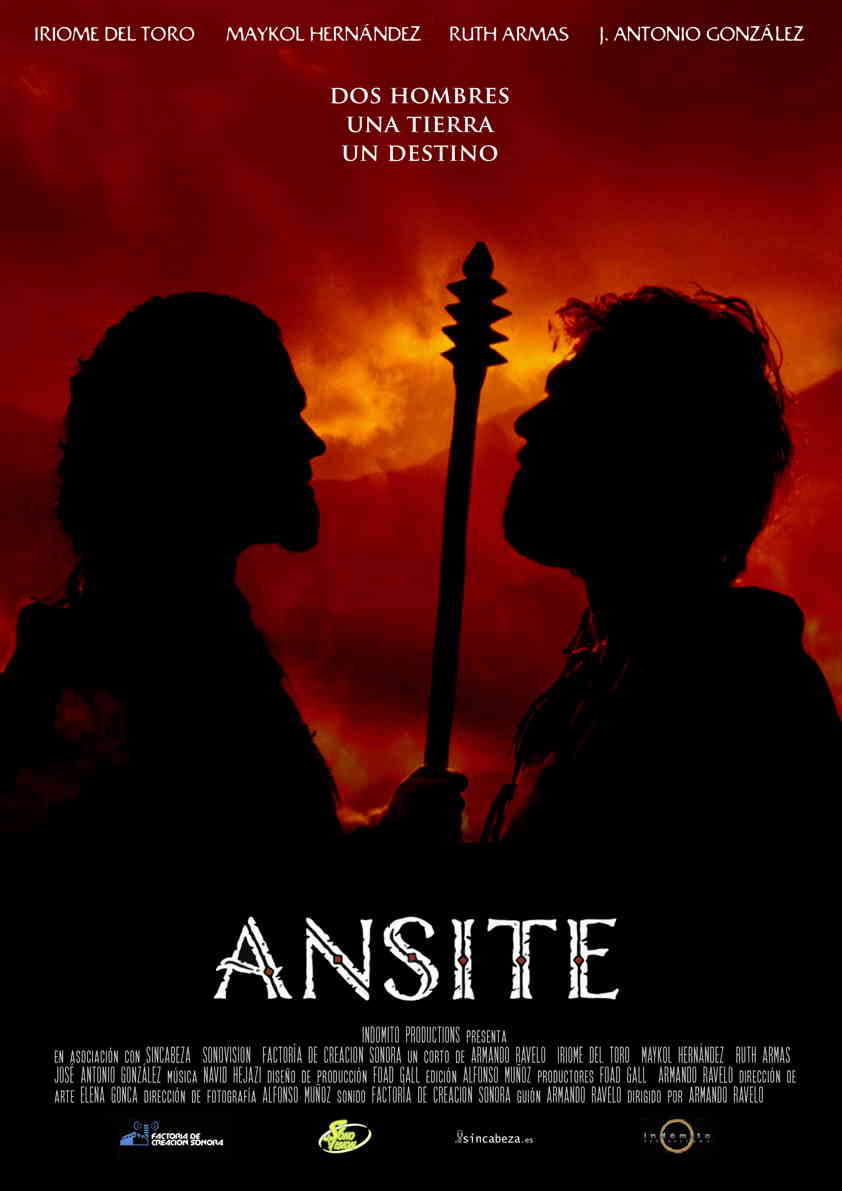 locandina Ansite